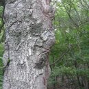 함허동천(제3야영장) 이미지