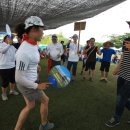 이안초교 이미지