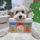 pet 150더4161 | 말랑말랑 기호성 좋은 강아지 종합영양제 펫밀리 스타터패키지