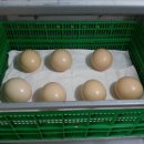 한길3농장 이미지