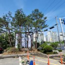 죽전1동 행정복지센터 이미지