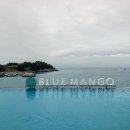 망고펜션 이미지