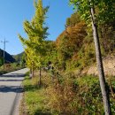 안기천로 이미지