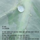 여기;한방울