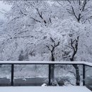 산골황태국밥집 | [인제 맛집] 용대리 산골황태해장국 솔직후기: 인간극장 그 집, 환상적인 계곡 뷰와 정갈한 더덕구이 정식