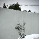 오마틸라 이미지