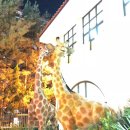 대자연유치원 이미지