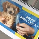 랄라펫살롱 네이버블로그