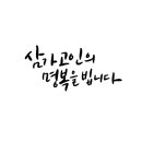 크로스펀치 네이버블로그