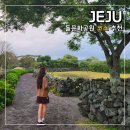 동신대학교 문화박물관(휴관) | 제주 돌문화공원 후기 코스 추천 박물관 주차 시간 입장료