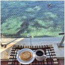 바당쿰다 이미지