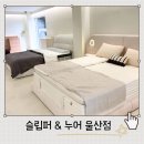 남중로 | 슬립퍼매트리스 울산 매장 방문 후기 비교 신혼침대