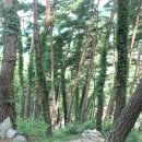 진성주유소 이미지