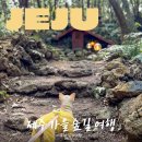 웃뜨르밥상 | 제주 가을여행 가볼만한곳 산양큰엉곶 마녀의 숲 기찻길 포토존