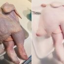 남자컷트미용실