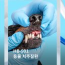 하이바이오 주식회사 이미지