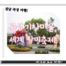 곡성-043 | 국내 가볼 만한 곳 추천, 전라남도 곡성 섬진강 기차마을 세계장미축제장 섬진강 장미공원에서 비 오는...