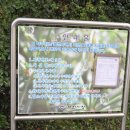 피재골약수터 이미지