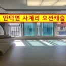 안덕공인중개사사무소 이미지