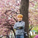 주공8단지 이미지