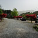카페휴림