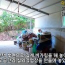 용흥리 티스토리