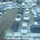 솔빛유정유치원 이미지