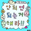 버니하우스 동래점 이미지