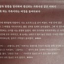 [독서리뷰] 인생은 언제나, 한 발씩 늦다.(책 속에서) 이미지