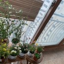 예삐마켓 이미지