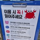 주문진셀프세차장 | 강릉주문진 홍게무한리필 내돈내산후기