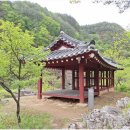 계곡힐링스카이 | 정선단체펜션 동아리 모임으로 다녀온 정선펜션, 구미정계곡 앞 하늘나리펜션에서 보낸 진짜 힐링 하루