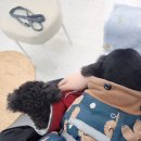 빼어나개 네이버블로그