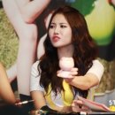 핑크돼지 이미지