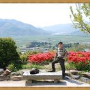 평사드레 이미지