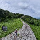 남해-240 이미지