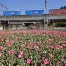 낙동강관리본부 화명생태공원 12 이미지