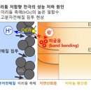 캐리어그린시스템