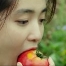 폰삼총사 이미지