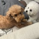 (주)레이넷 | 놀면뭐하니? 휴무 일상 기록(대전 양꼬치 맛집, 대전 bar)