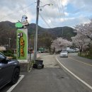 팔공산이재욱호박오리 | 봄날 벚꽃길과 떠난 팔공산 오리 맛집 이재욱호박오리