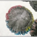 먹캘리그라피과정 이미지