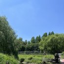 양재천 커피맛집 추천, 떼르 드 카페 양재 (Terres de cafe)