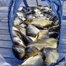 도곡낚시터 이미지