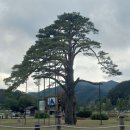 시티원부동산공인중개사사무소 이미지