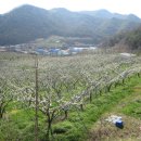 농부의 정원 이미지