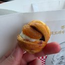 참호도과자 | 학화호도과자 2026 신제품 살앙 호도과자 후기🥰