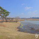 화랑유원지(중심광장) 이미지