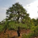 구암동387 이미지