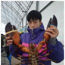 동교실내낚시터 이미지